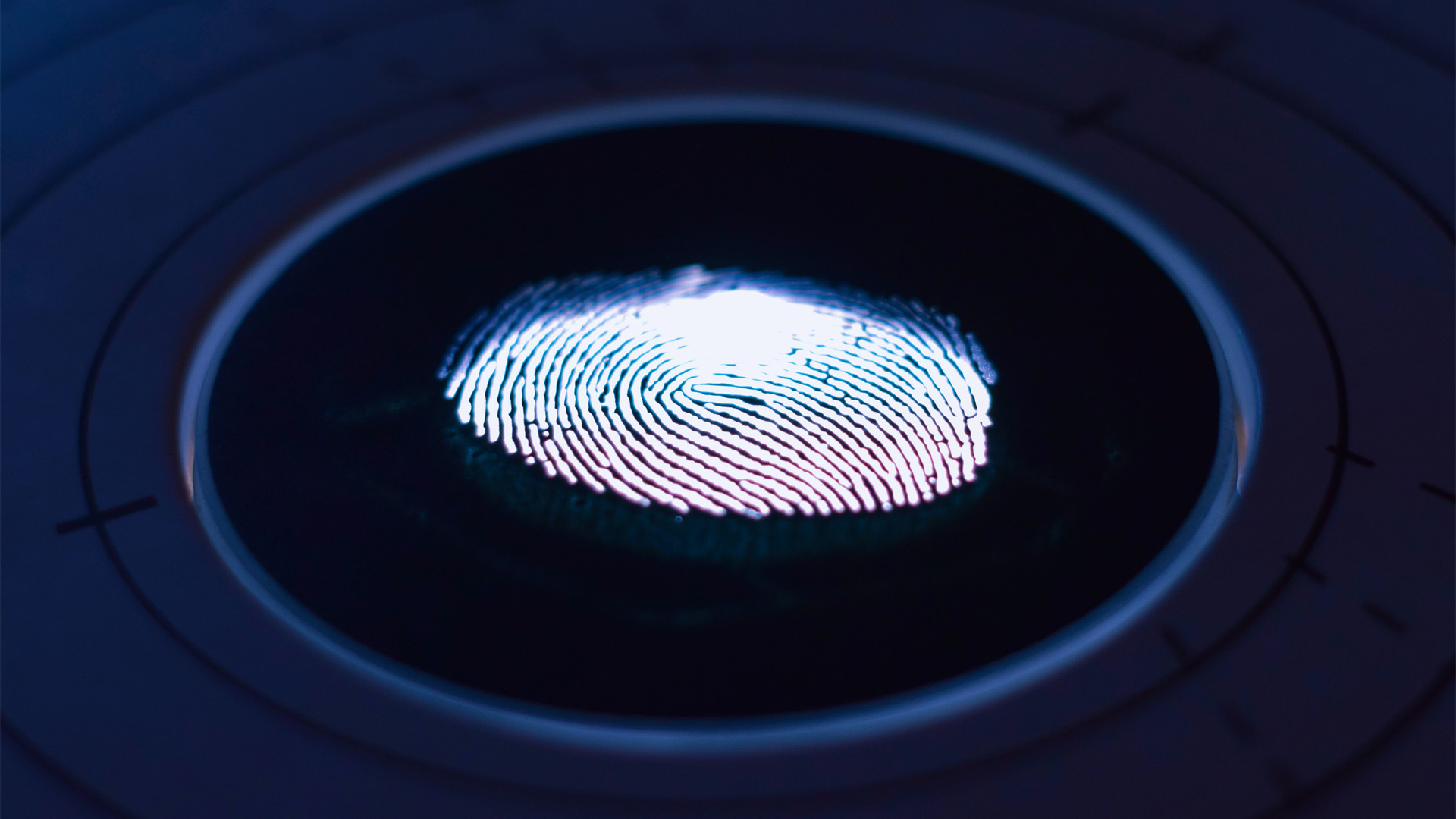 decorative: image of a fingerprint on a screen
