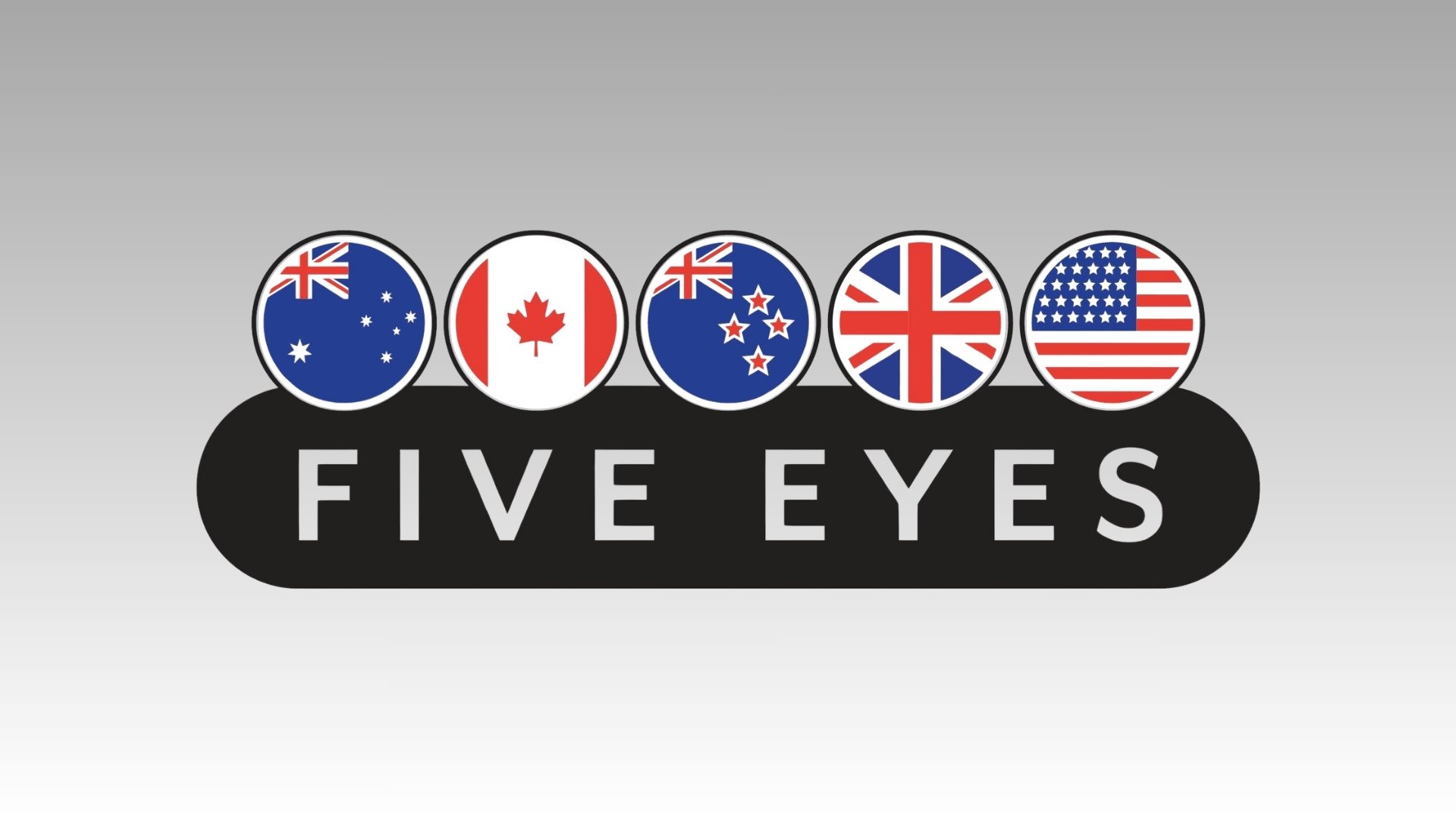 Five eyes logo