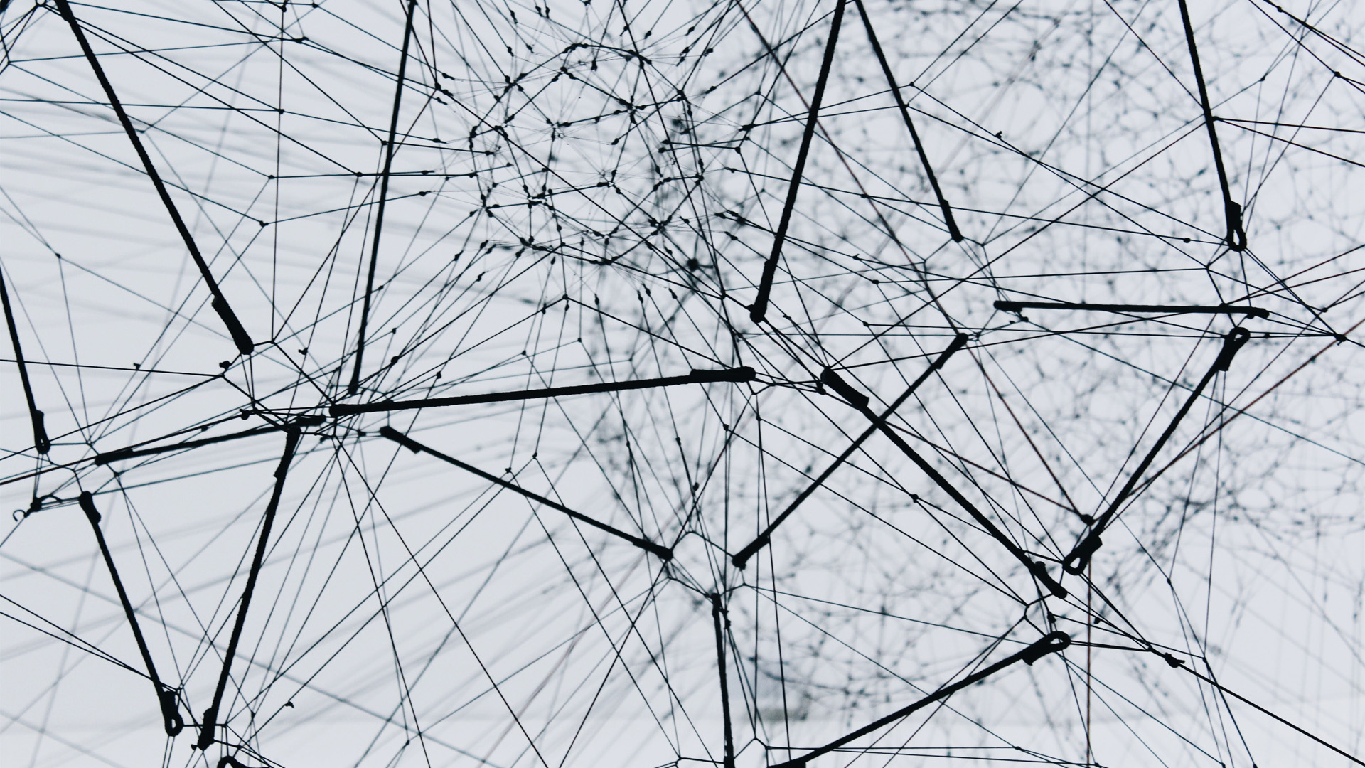 decorative: image of an interconnected web of lines, symbolising the supply chain